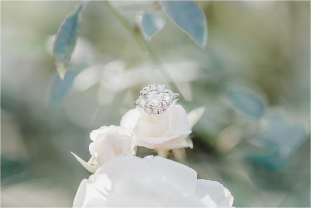 Wedding ring 
| Rose Garden Elopement 